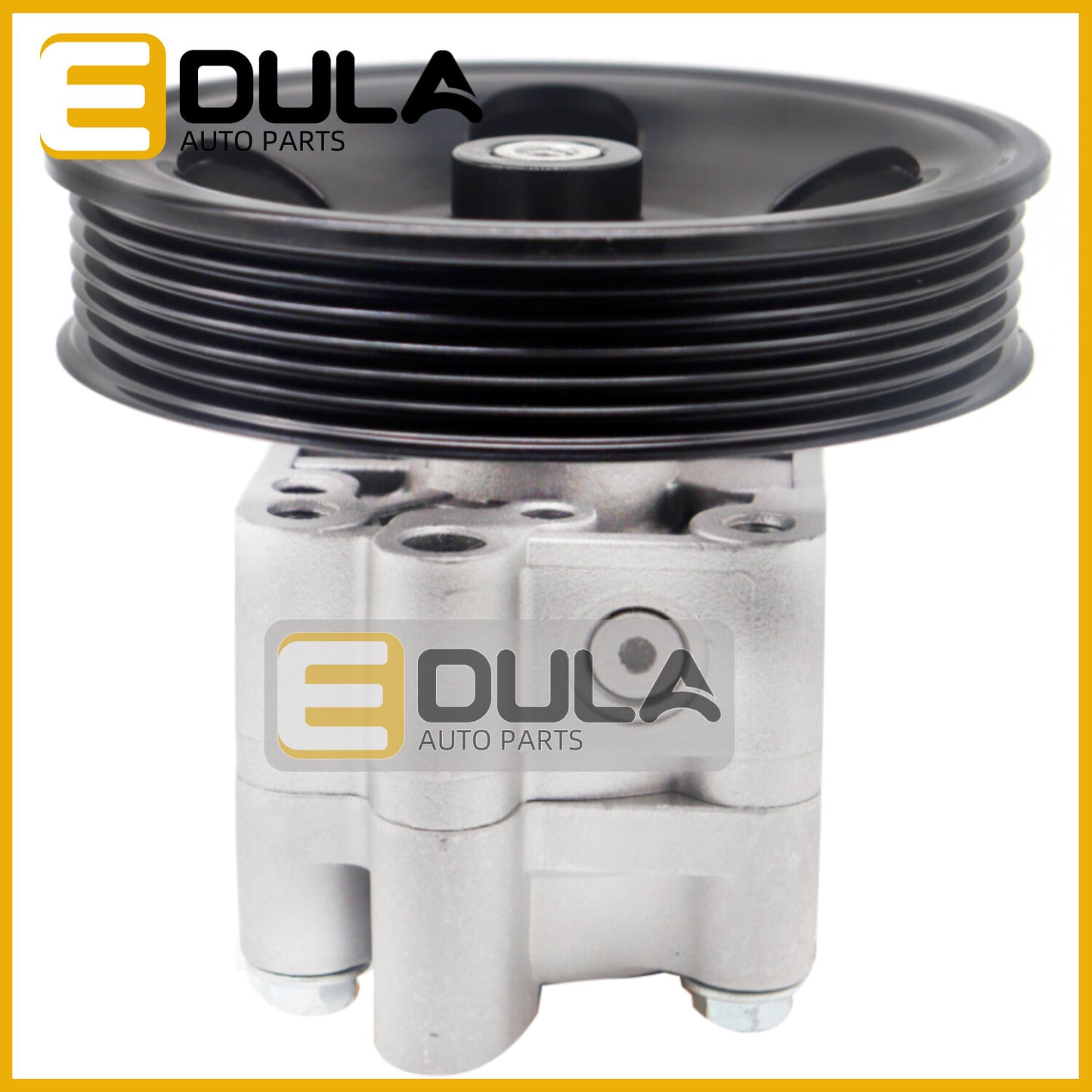 Power Steering Pump for NISSAN ELGRAND E51 NE51 VQ35 49110-WL005 / NEW