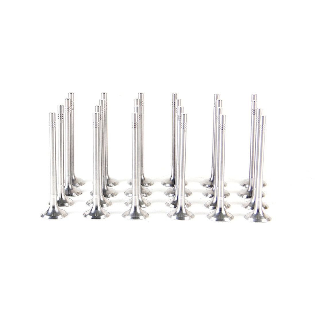 3.0TDI Intake Exhaust Valve Kit Fit for VW Phaeton Touareg CARA CEXA CASA CATA