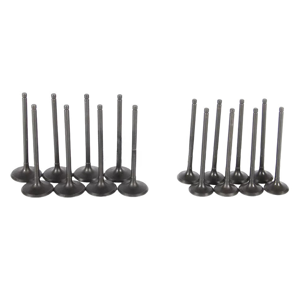Intake Exhaust Valves Kit for Ford Focus EcoSport 2012-2018