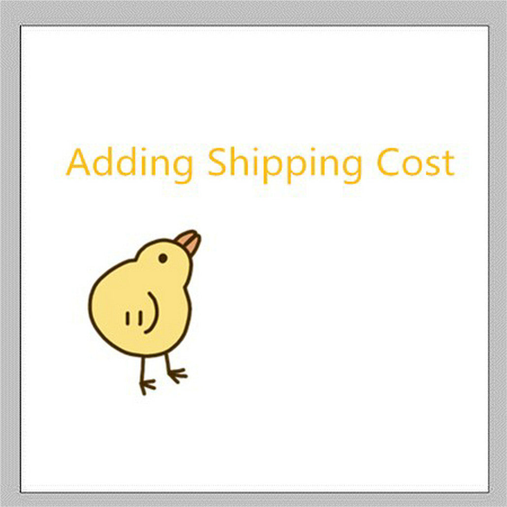 This Link is For Buyer to Add Extral Shipping Fee