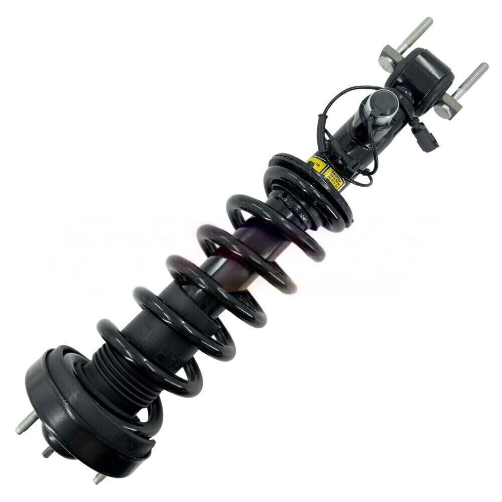 Two rear L&R shock absorber struts from Assys fit the for Lincoln MKZ Gasoline 2013 - 2020 Electric.
