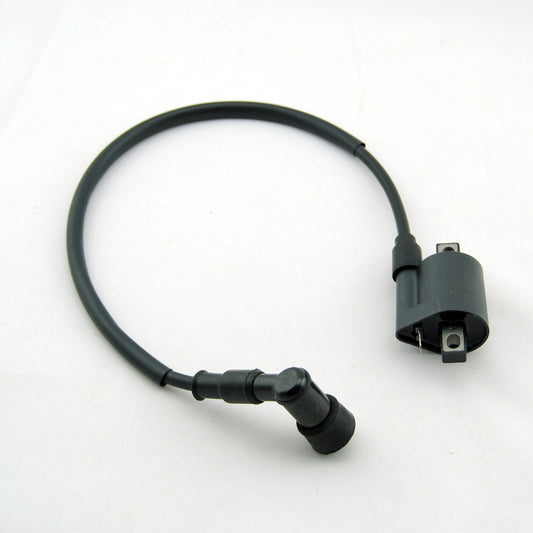Motorcycle Ignition Coil 50cc 90cc 110cc 125cc 150cc 200cc 250cc Dirt Pit Bike