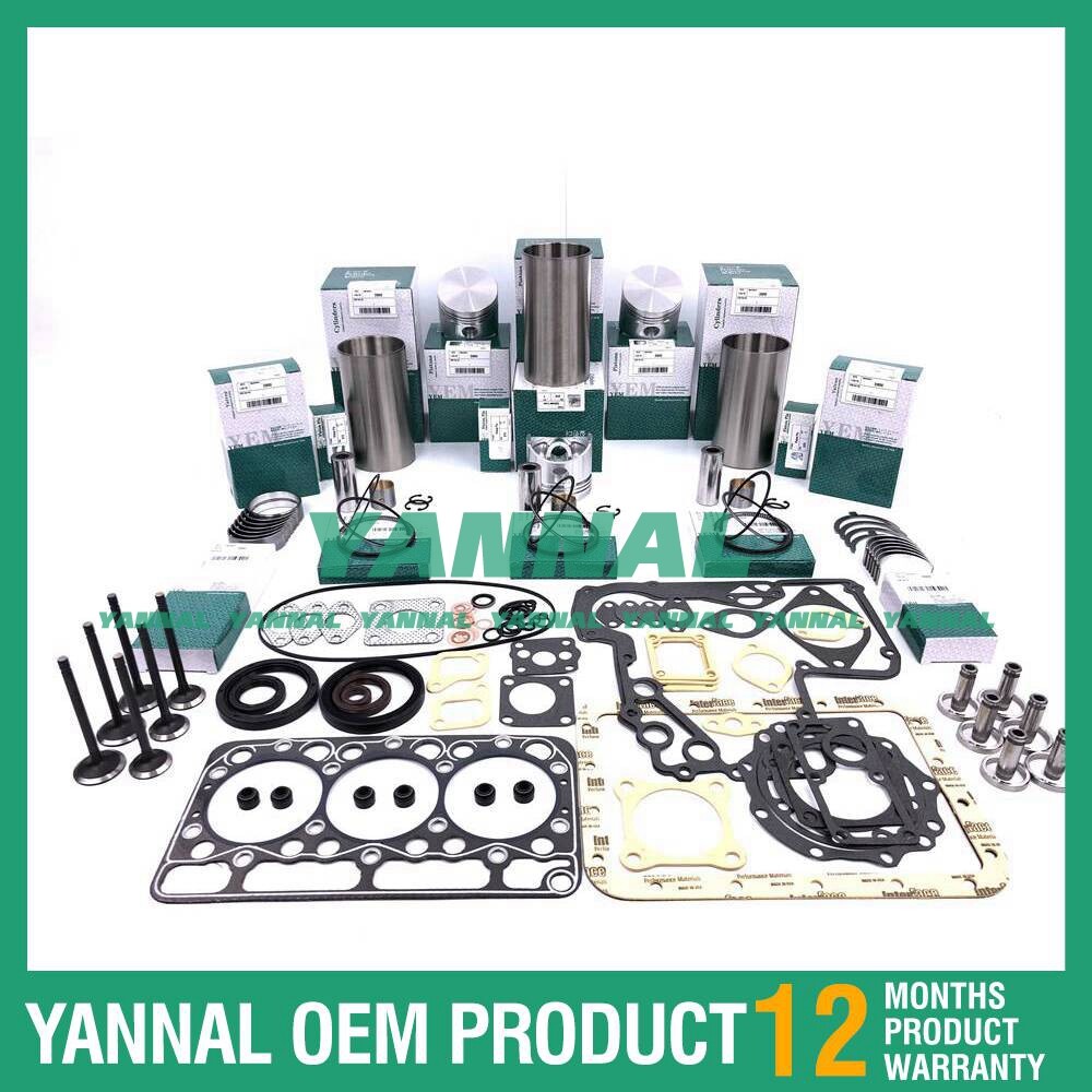 new D950 engine overhaul kit for Kubota B1600, B8200, B20, and B1702 engines.