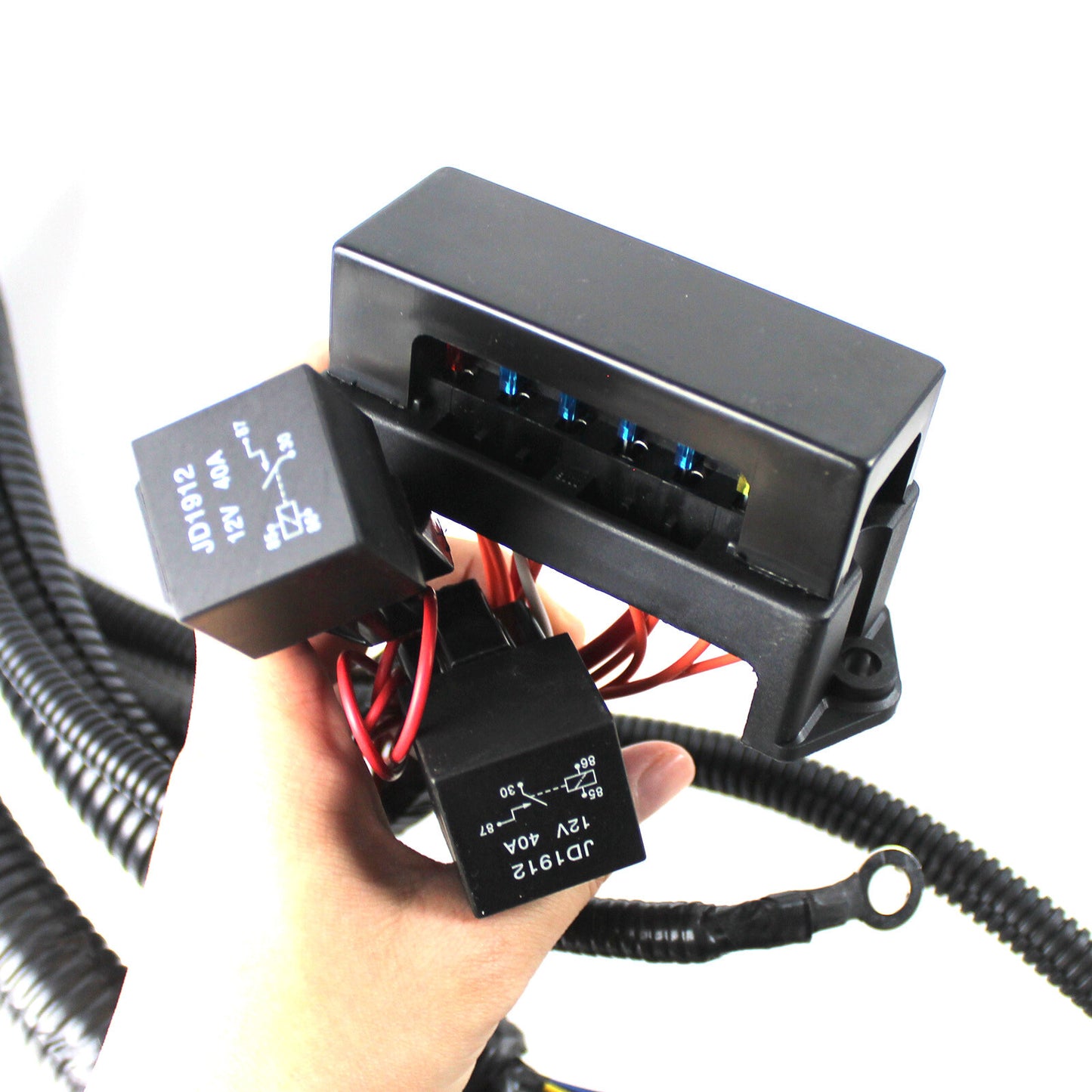 LS1 Engine STANDALONE WIRING HARNESS T56 Manual Tran 4.8/5.3/6.0L DBC EV1 97-06