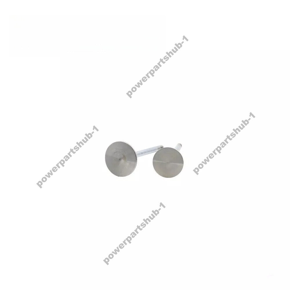 0428-4043 0428-5983 D6D/D6E Diesel Engine Exhaust Valve for EC210 Excavator part