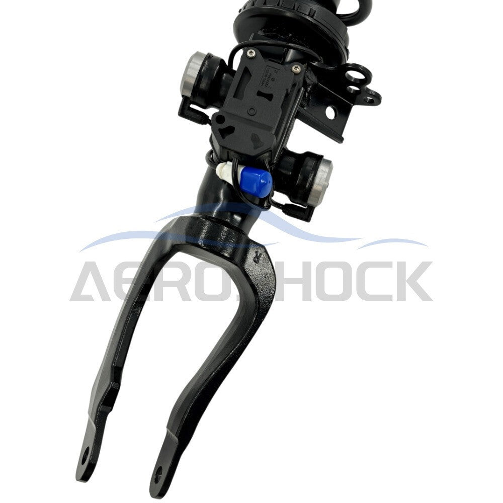 2Front Shock Strut for Mercedes W211 S211 E350 4Matic 3.5L 06-09 #2113236500