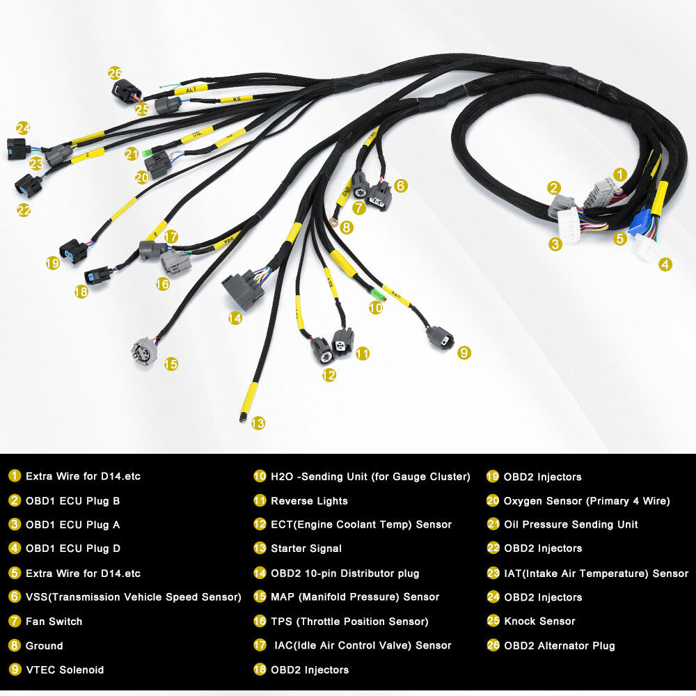 OBD2 Budget B-series Tucked Engine Harness for Honda for Civic Integra B16 B18 D16