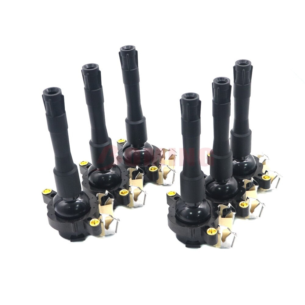 6-pack ignition coils suitable for BMW 325i 2.5L, 740i, X5 4.4L, 528i, 328i 2.8L, 525i, UF300