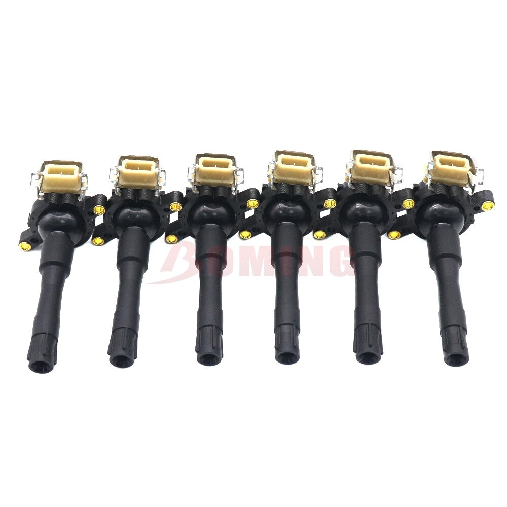6-pack ignition coils suitable for BMW 323i, 325i, 525i 2.5L, 328i, 528i 2.8L, 330i 3.0L, 540i 4.4L...
