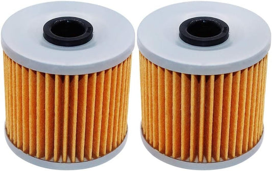 2 Pack Motorcycle Oil Filter for Kawasaki 220 Bayou KLF220 1988-2002 16099-004