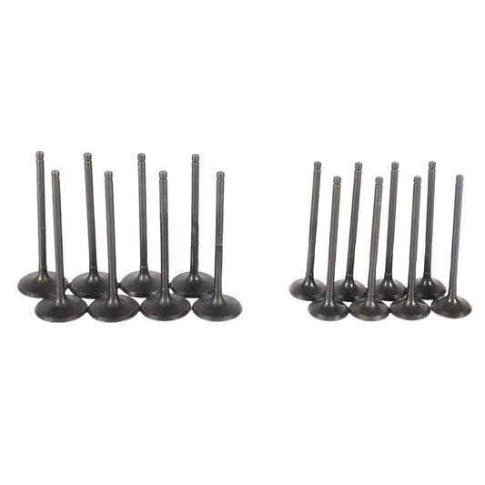 Intake and exhaust valve kit for Ford Focus EcoSport 2012-2018