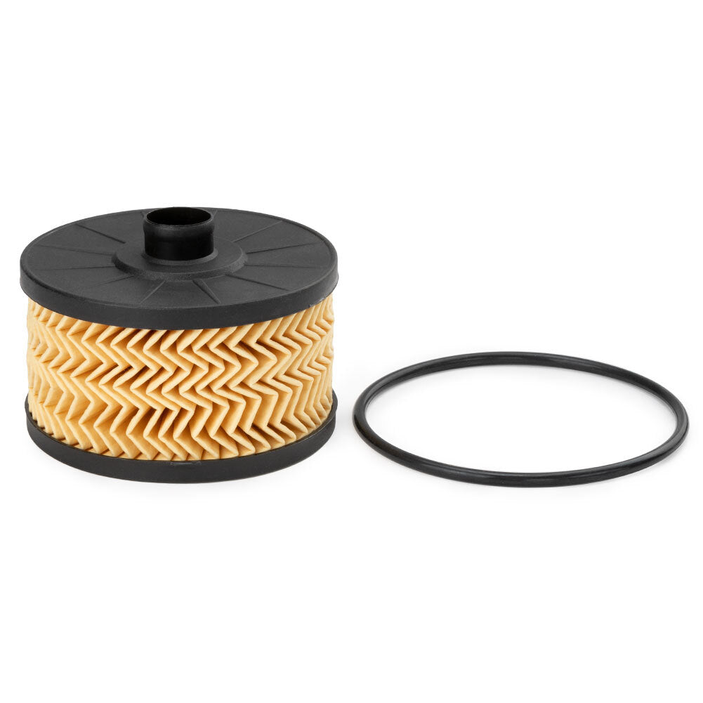 Car Oil Filter for Nissan Juke for Renault Captur Clio Kangoo Megane Petrol Engine