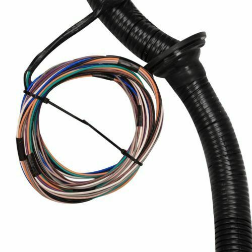 1997-2006 DBC LS1 STAND ALONE HARNESS W/ 4L80E 4.8 5.3 6.0 VORTEC DRIVE BY CABLE