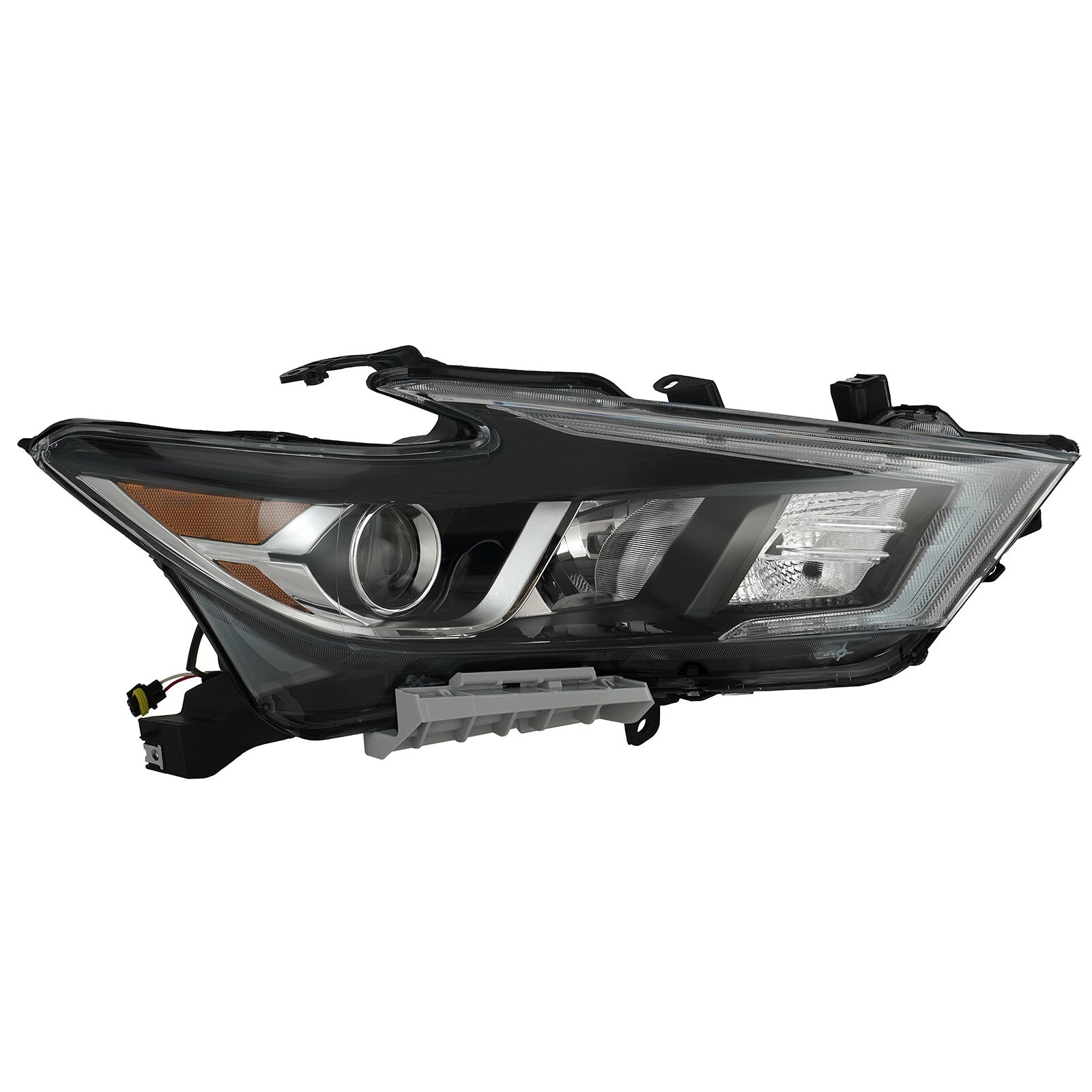 Lotte Water Radio LED DRL 2016 - 2018 Maxima Seafood Showcase