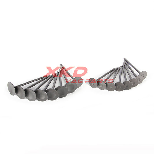 2.0L Intake and Exhaust Valve Kit for Ford Focus EcoSport 2012-2018