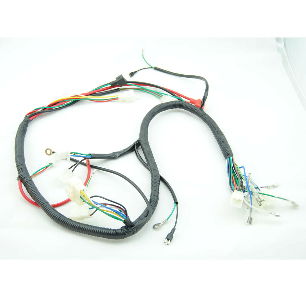 Standalone Wiring Harness Engine Assembly 150cc-250cc Quad Bike ATV Go Kart