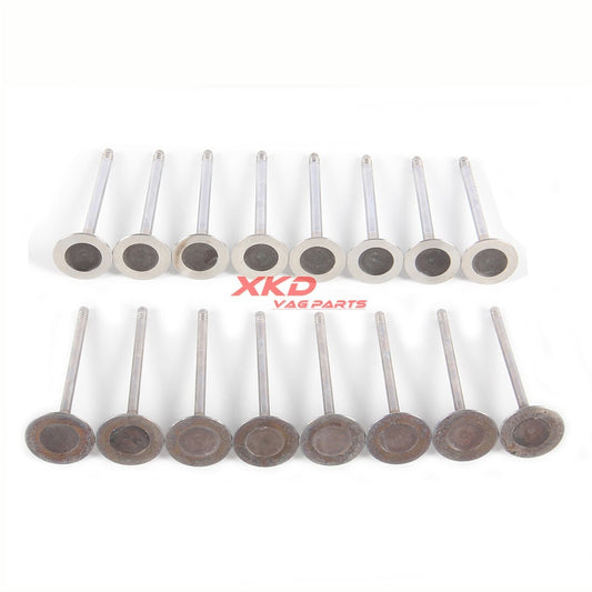 2.0T 16 Intake and exhaust valves suitable for BMW 3 Series, 5 Series, X3, X4, and for Mini Cooper .